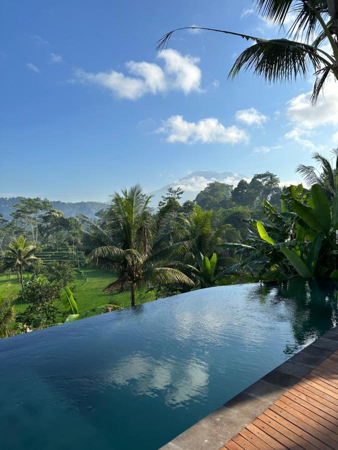 Nana Suites Villa Sidemen  Luaran gambar