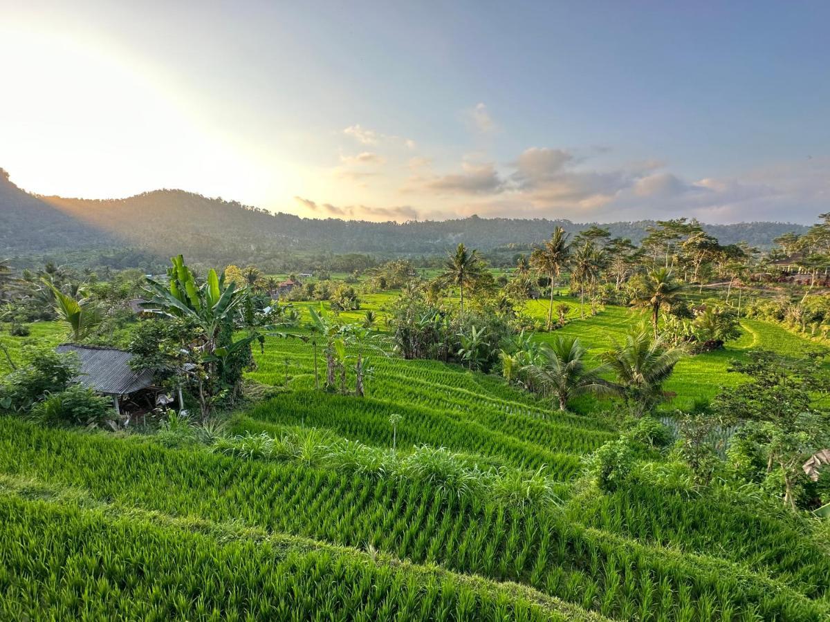 Nana Suites Villa Sidemen  Luaran gambar