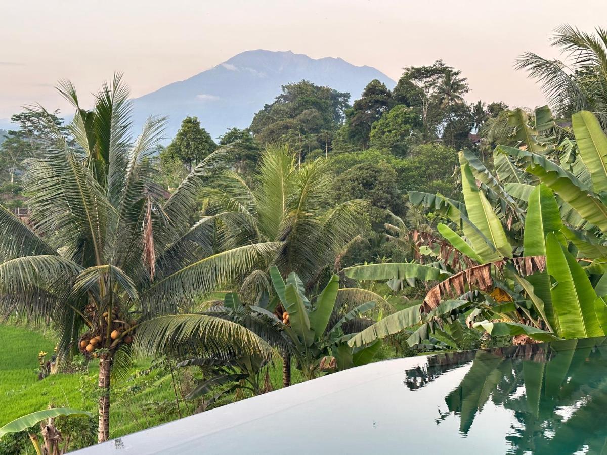 Nana Suites Villa Sidemen  Luaran gambar